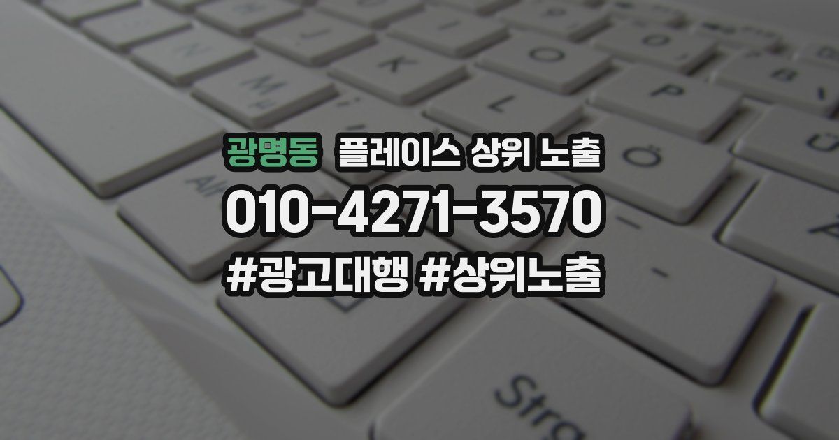 광명동 플레이스 상위 노출