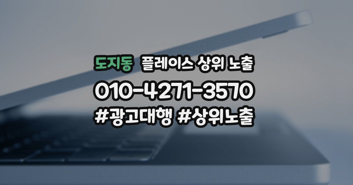 도지동 플레이스 상위 노출