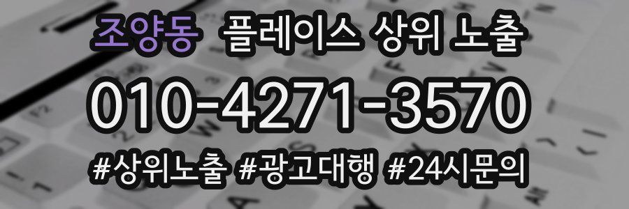 조양동 플레이스 상위 노출