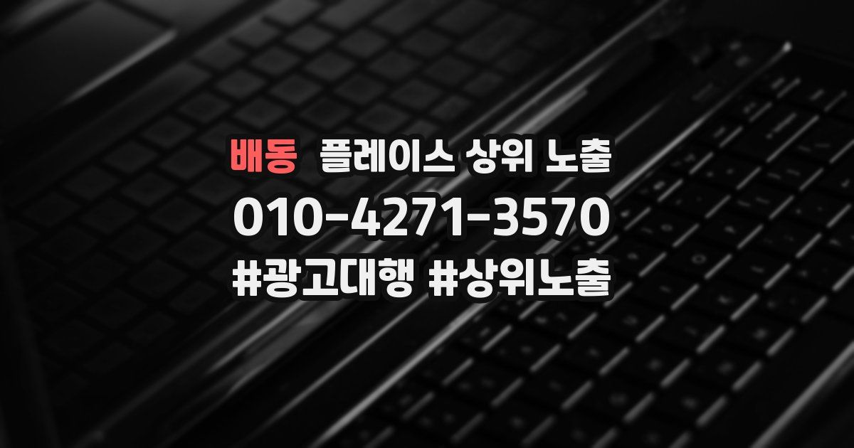배동 플레이스 상위 노출