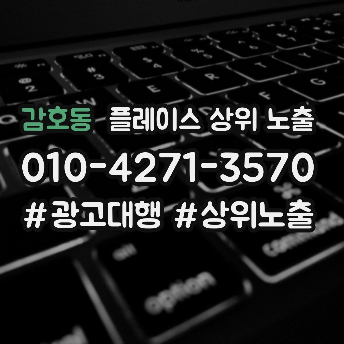 감호동 플레이스 상위 노출