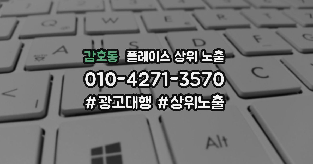 감호동 플레이스 상위 노출