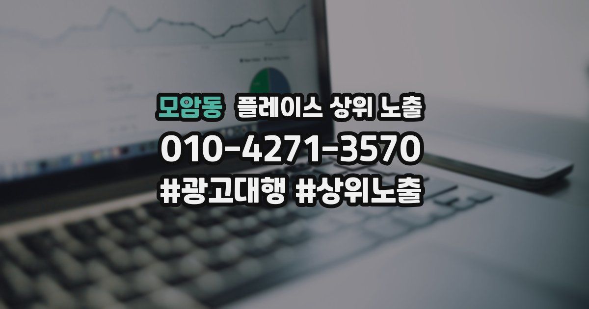 모암동 플레이스 상위 노출