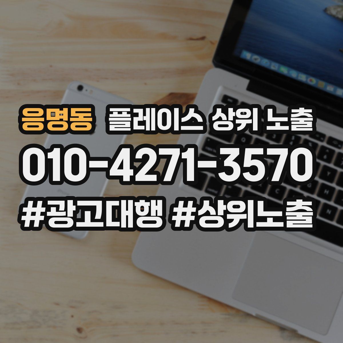 응명동 플레이스 상위 노출