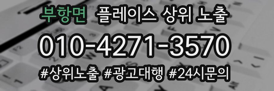 부항면 플레이스 상위 노출