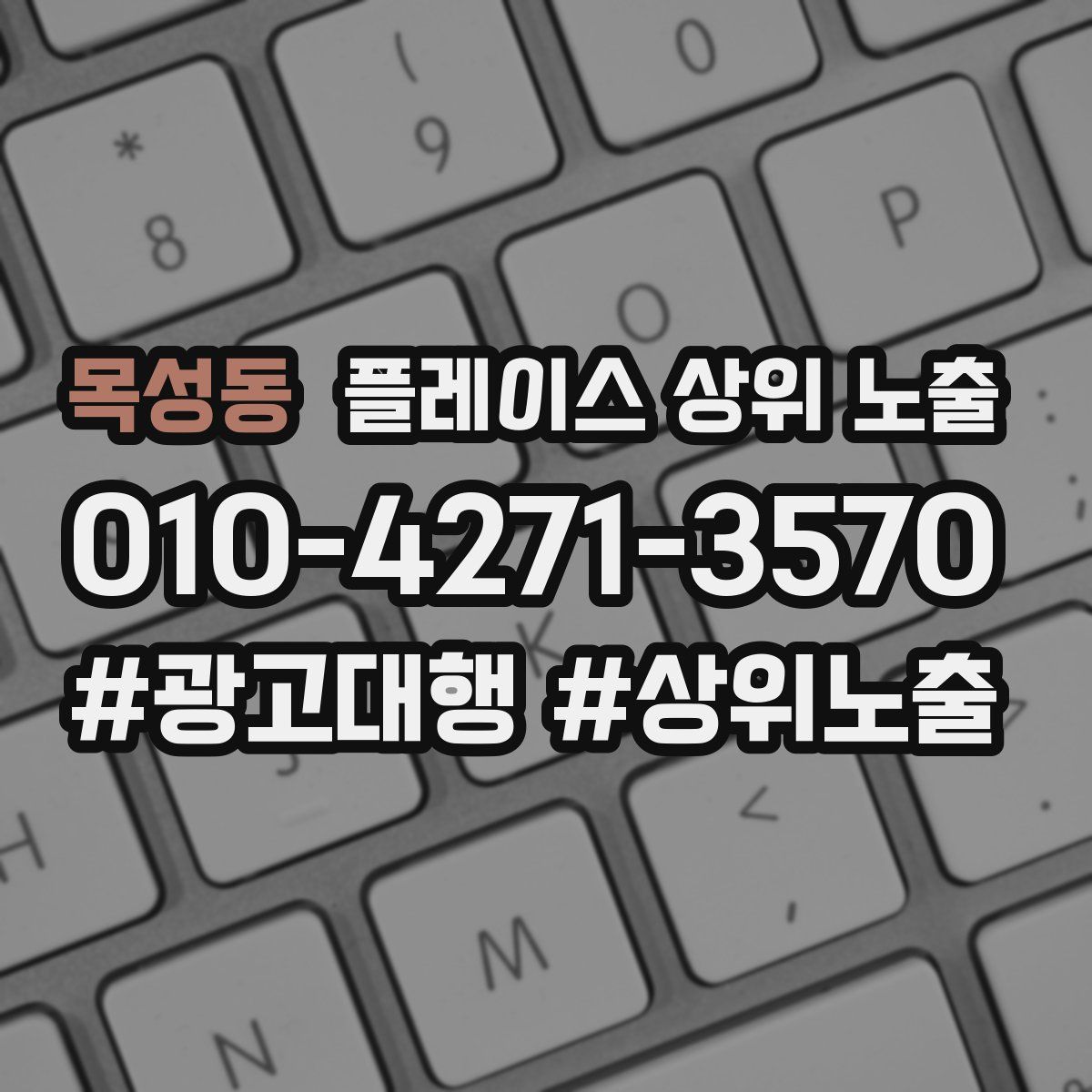 목성동 플레이스 상위 노출
