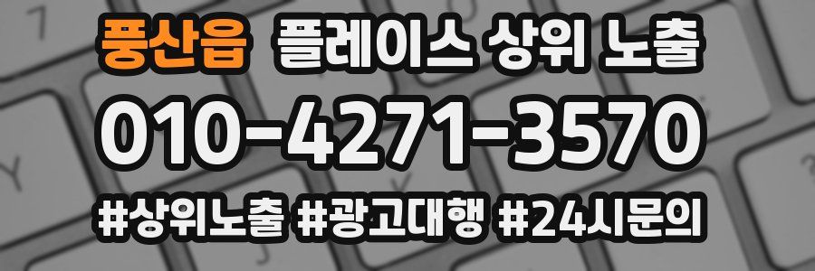 풍산읍 플레이스 상위 노출