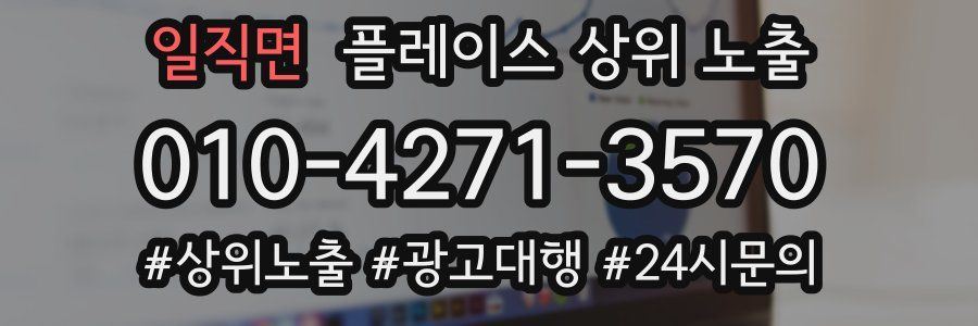일직면 플레이스 상위 노출