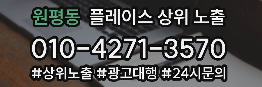 원평동 플레이스 상위 노출