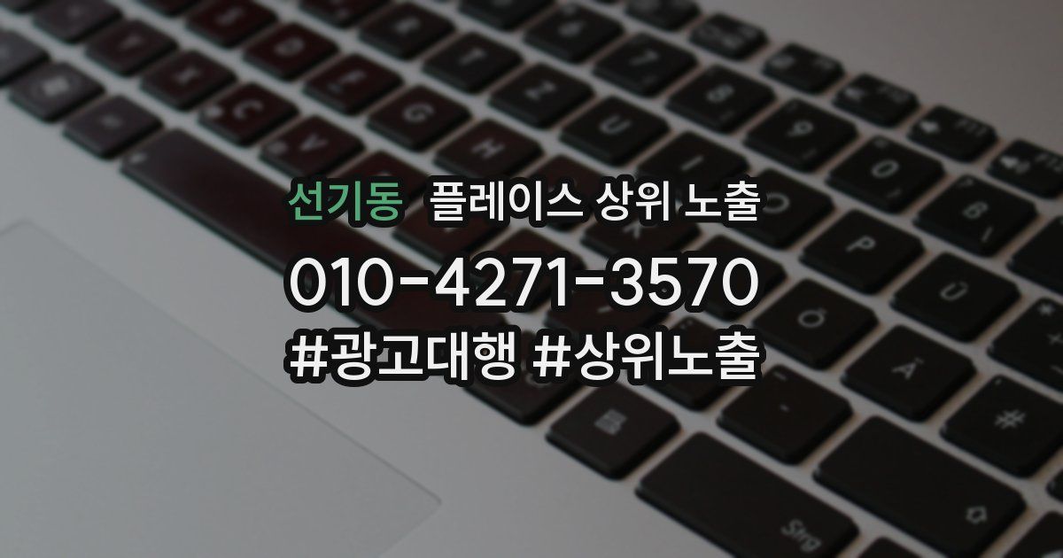 선기동 플레이스 상위 노출