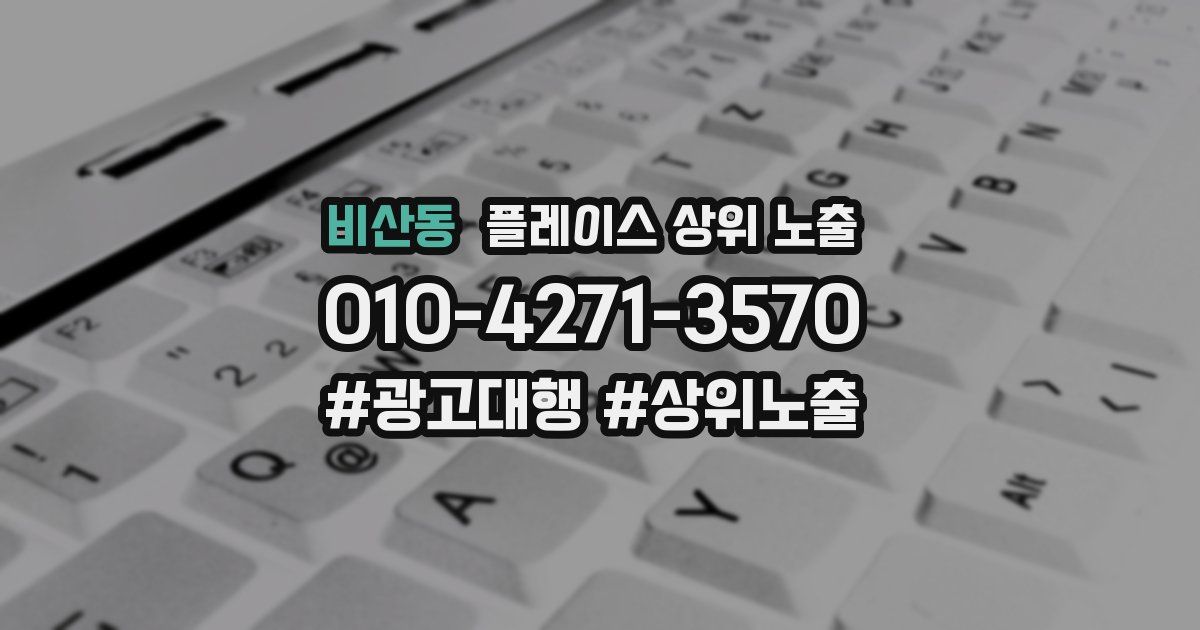 비산동 플레이스 상위 노출