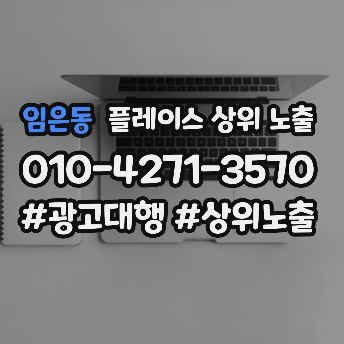 임은동 플레이스 상위 노출