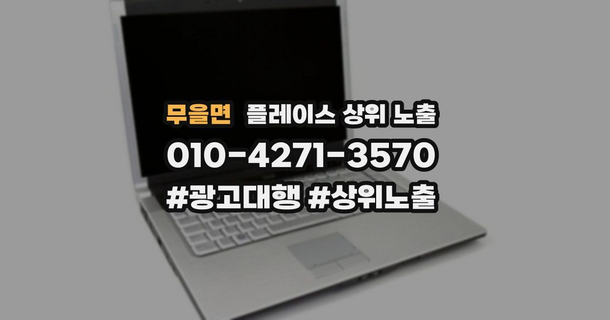 무을면 플레이스 상위 노출