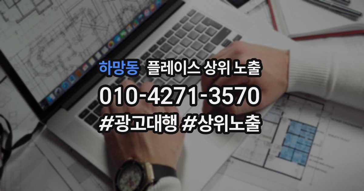 하망동 플레이스 상위 노출
