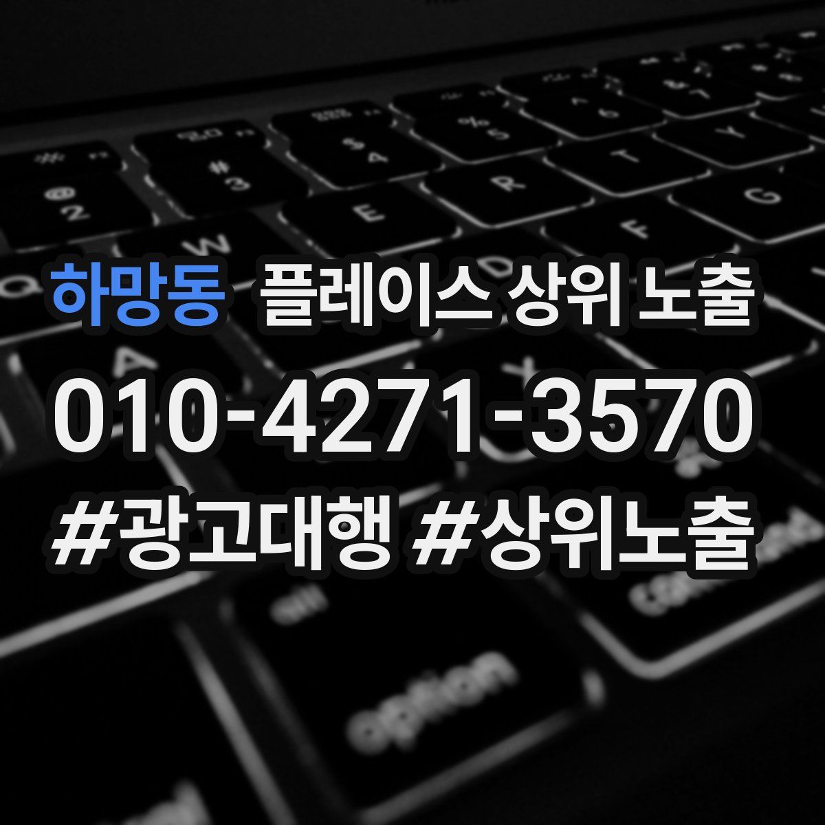 하망동 플레이스 상위 노출