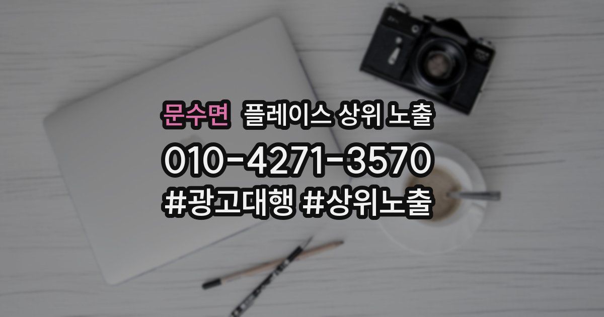 문수면 플레이스 상위 노출