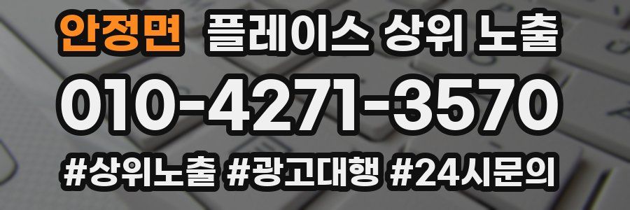 안정면 플레이스 상위 노출