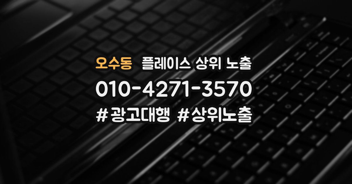 오수동 플레이스 상위 노출