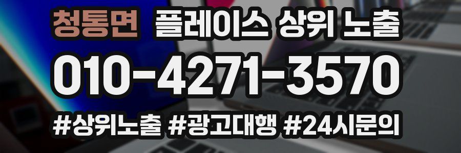 청통면 플레이스 상위 노출