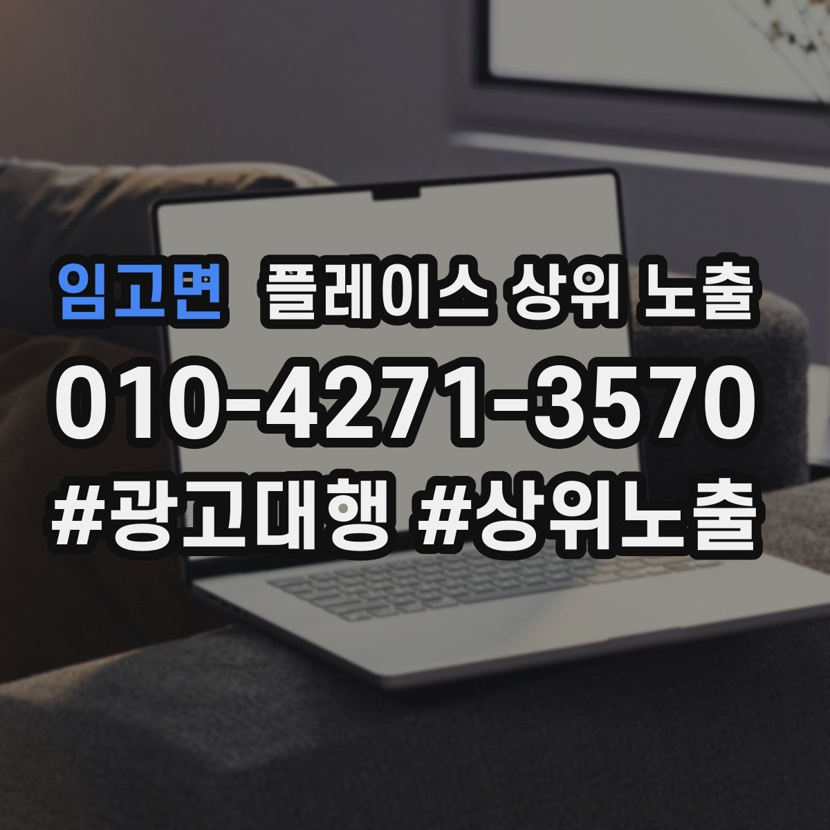 임고면 플레이스 상위 노출