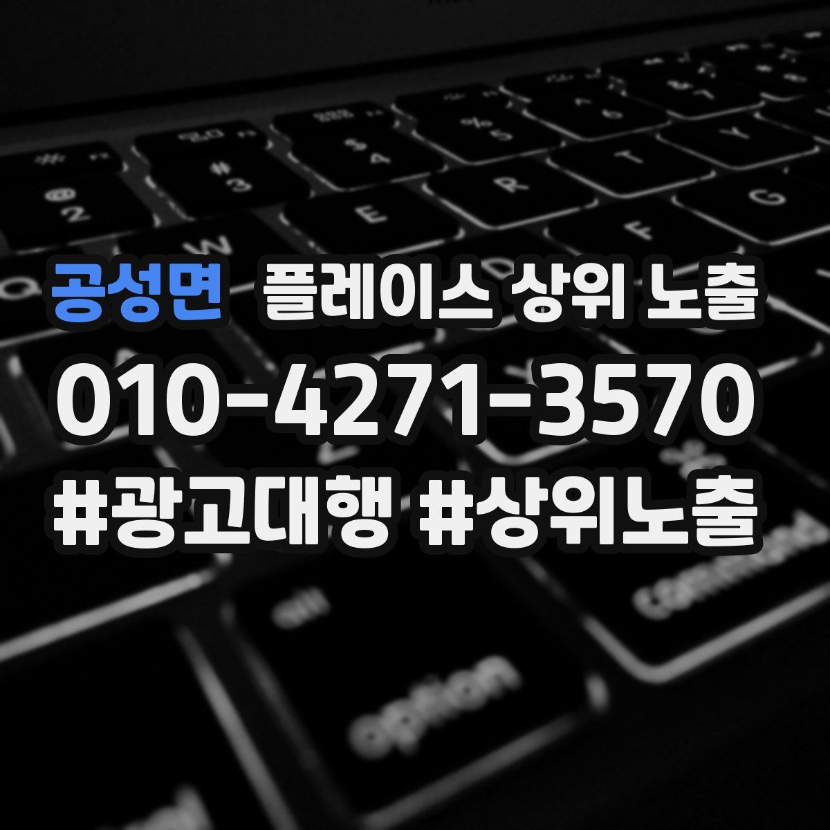 공성면 플레이스 상위 노출