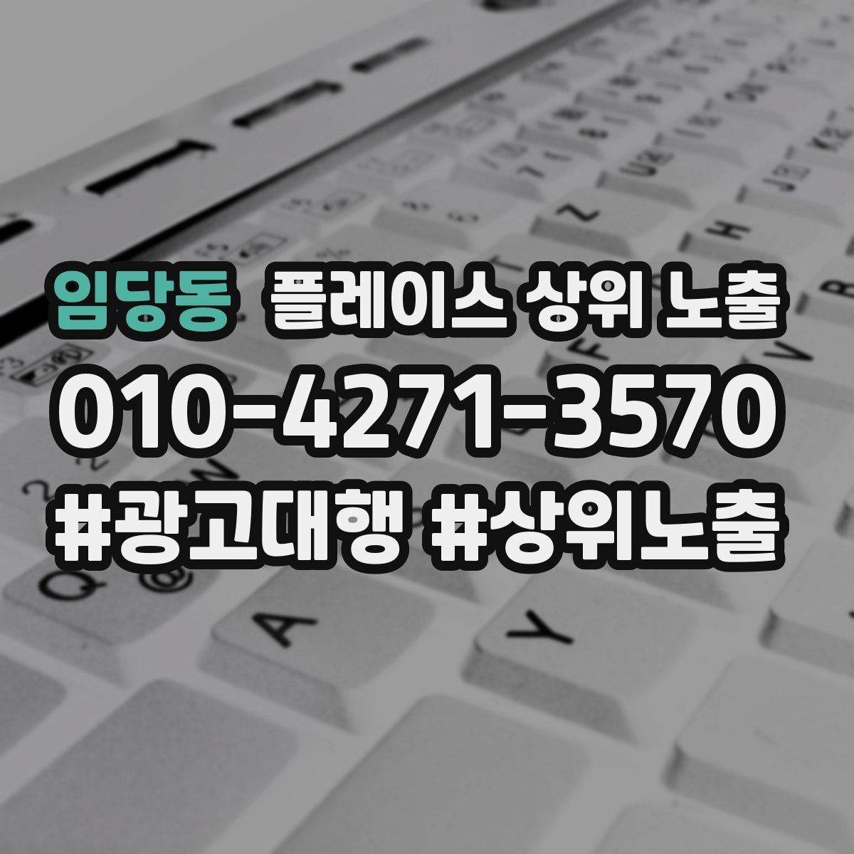 임당동 플레이스 상위 노출