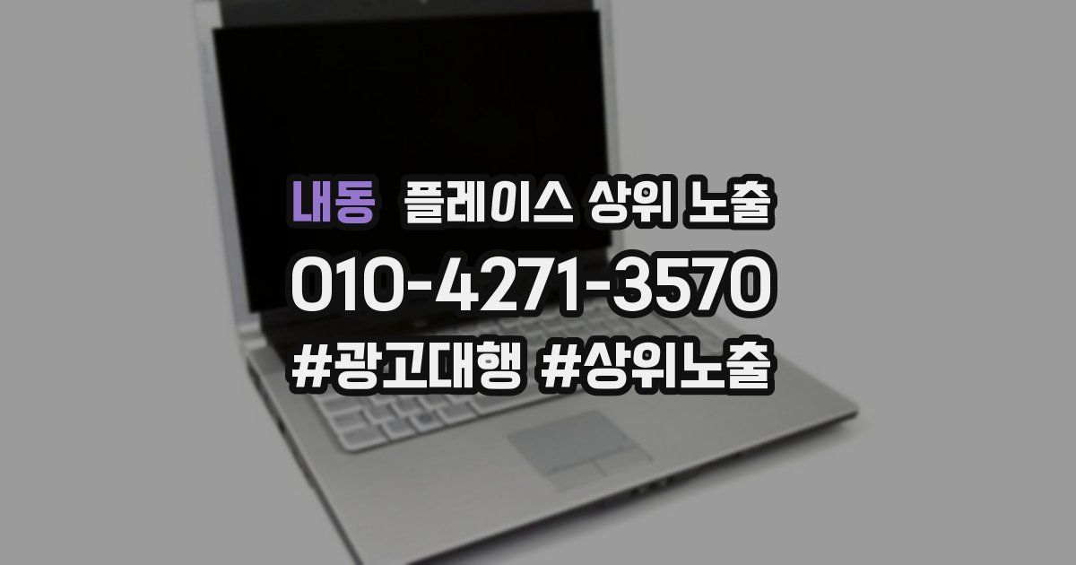 내동 플레이스 상위 노출
