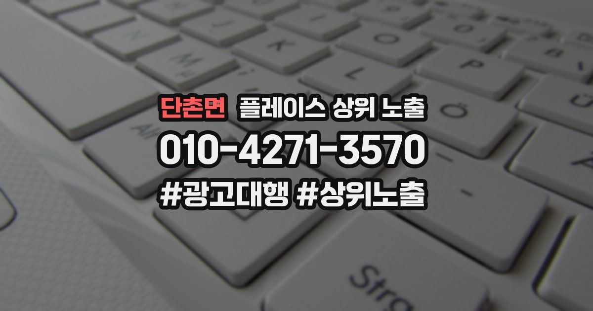 단촌면 플레이스 상위 노출