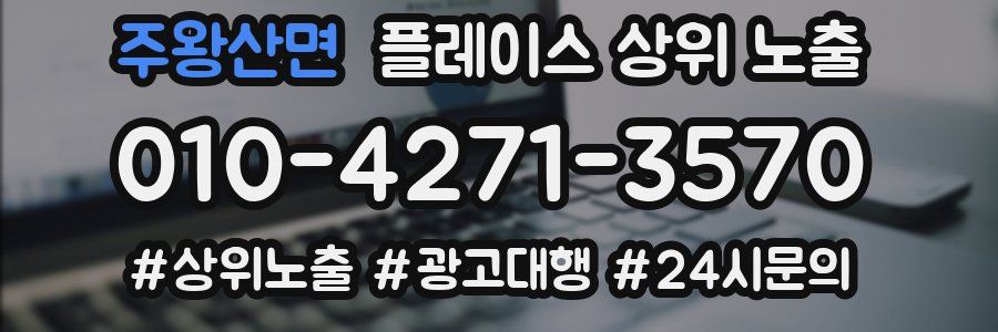 주왕산면 플레이스 상위 노출