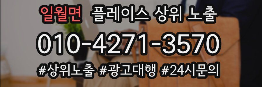 일월면 플레이스 상위 노출