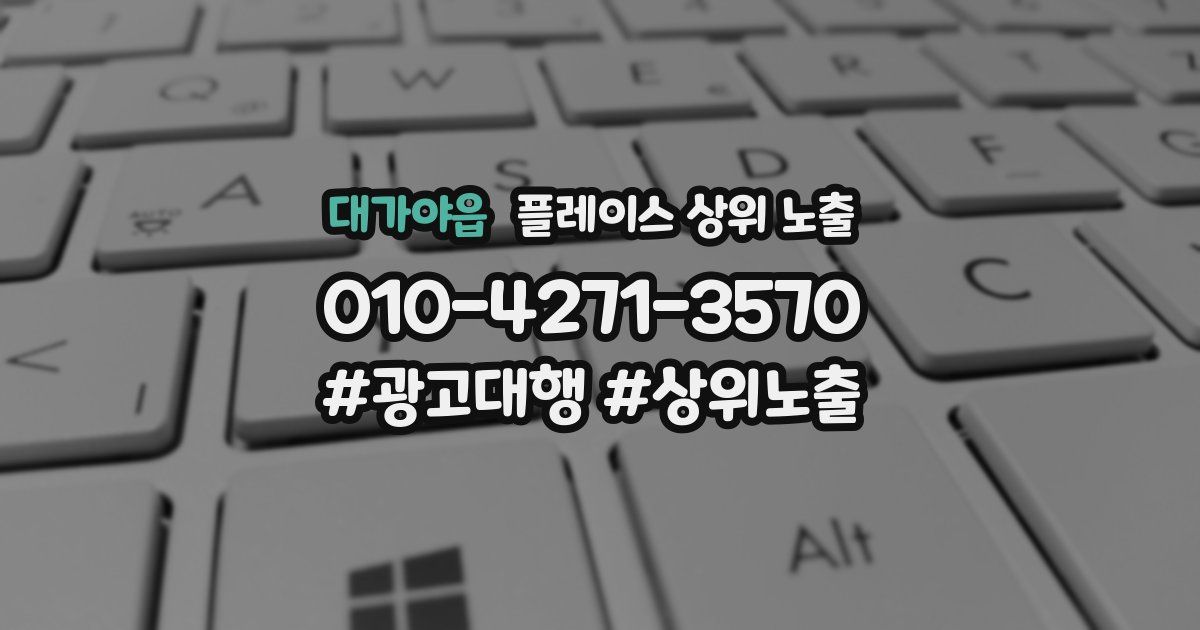 대가야읍 플레이스 상위 노출