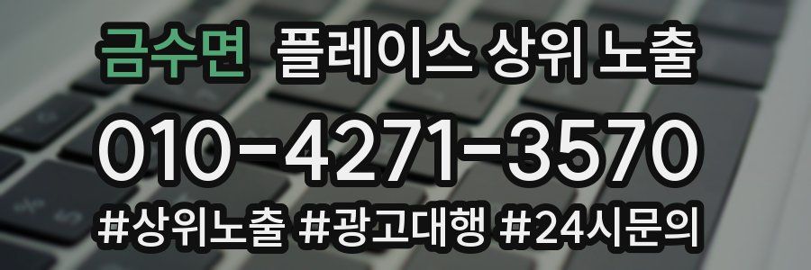 금수면 플레이스 상위 노출