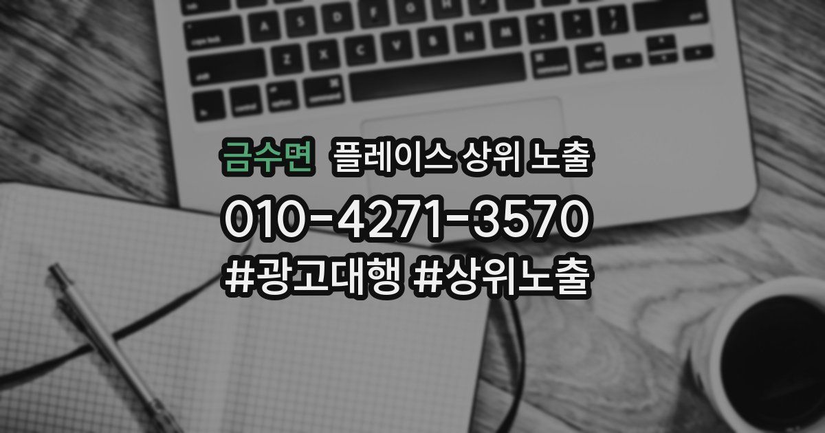 금수면 플레이스 상위 노출