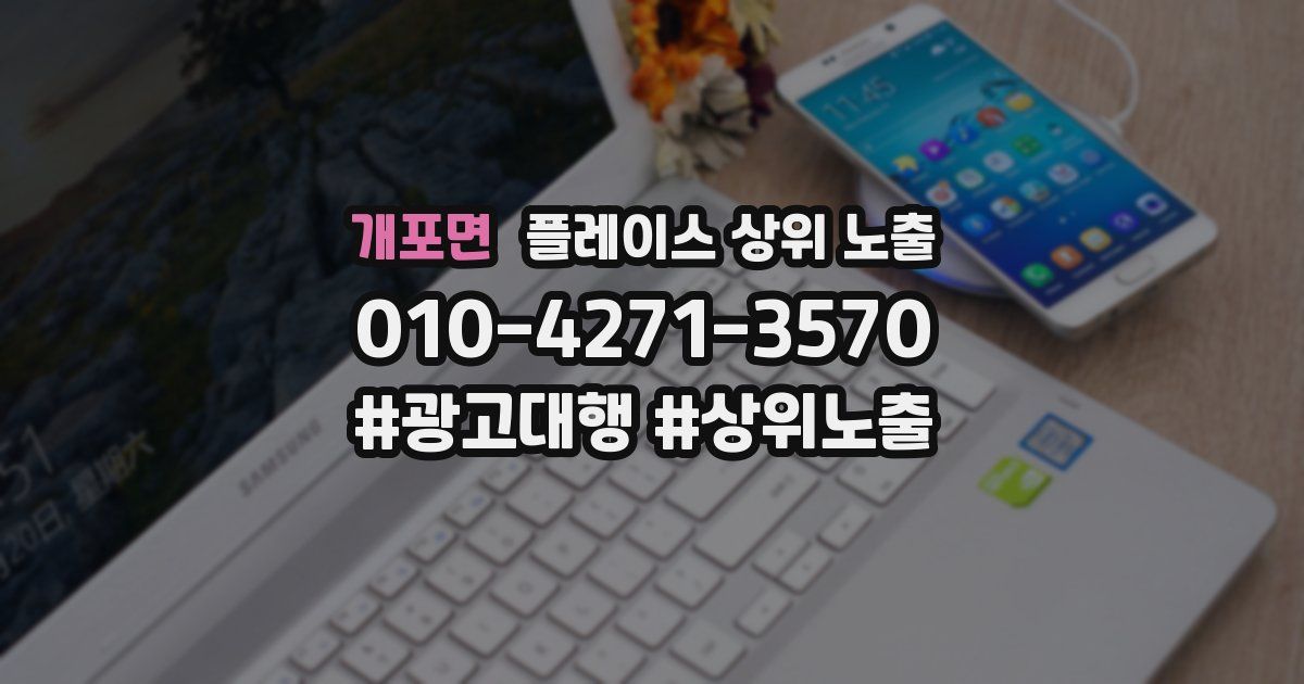 개포면 플레이스 상위 노출