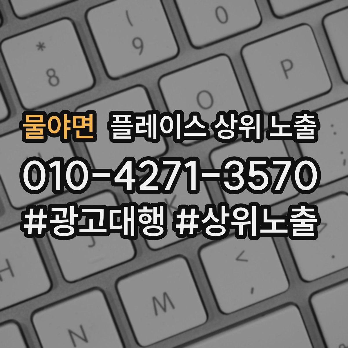 물야면 플레이스 상위 노출 테스트확대 순서로 안정적으로 키우기