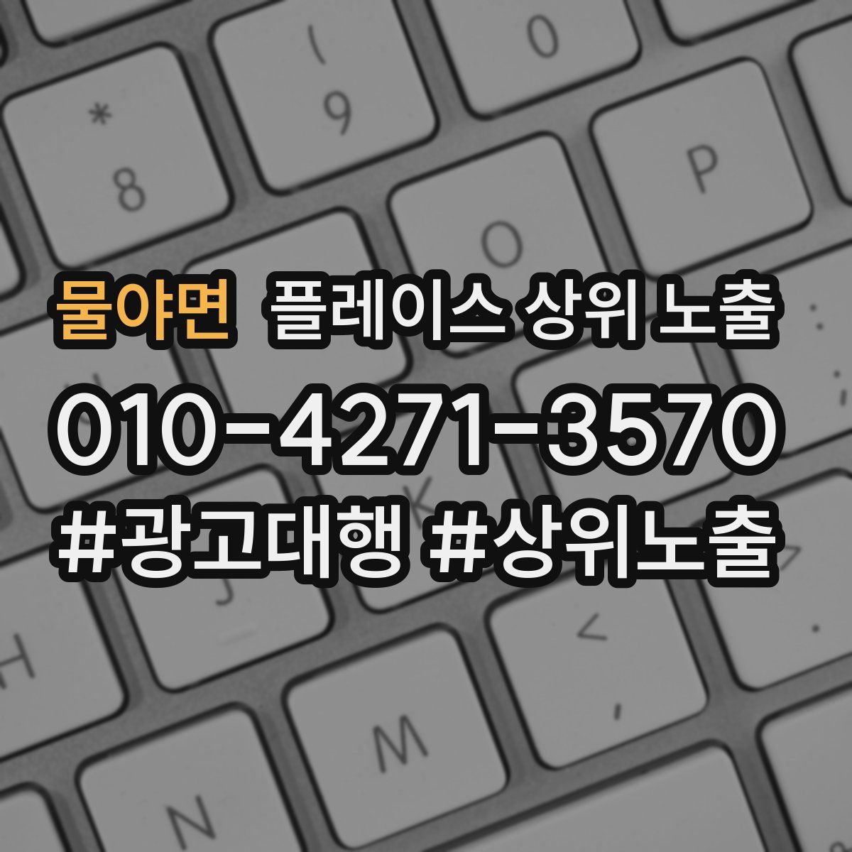 물야면 플레이스 상위 노출