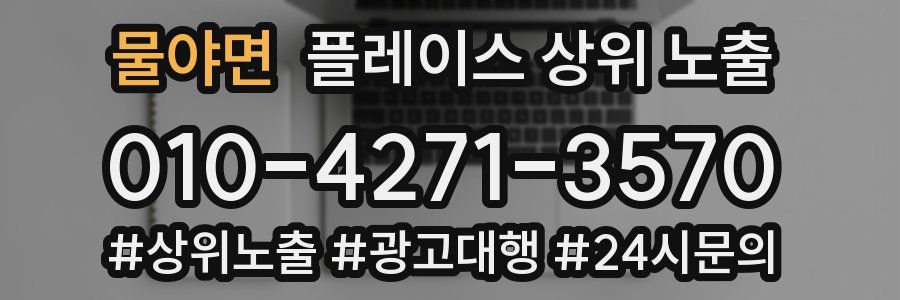 물야면 플레이스 상위 노출