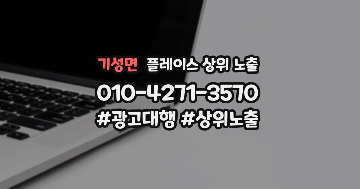 기성면 플레이스 상위 노출
