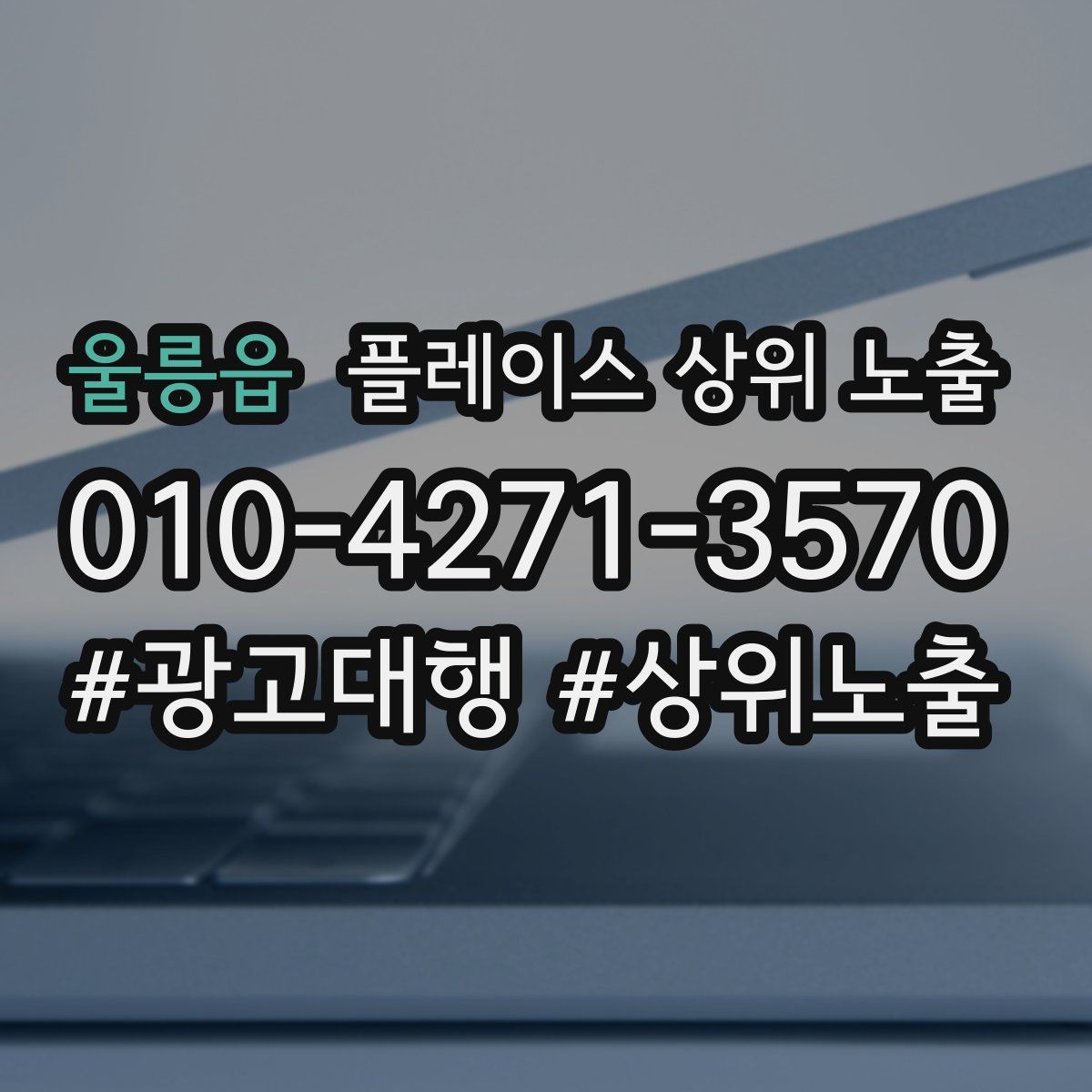 울릉읍 플레이스 상위 노출