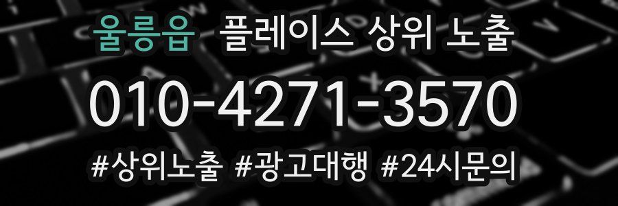 울릉읍 플레이스 상위 노출