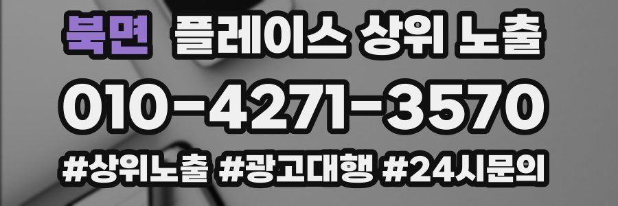 북면 플레이스 상위 노출