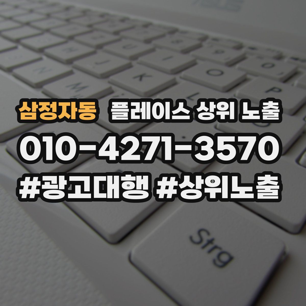 삼정자동 플레이스 상위 노출