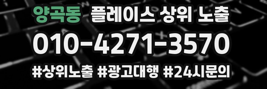 양곡동 플레이스 상위 노출