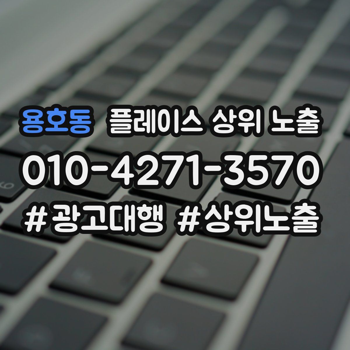 용호동 플레이스 상위 노출