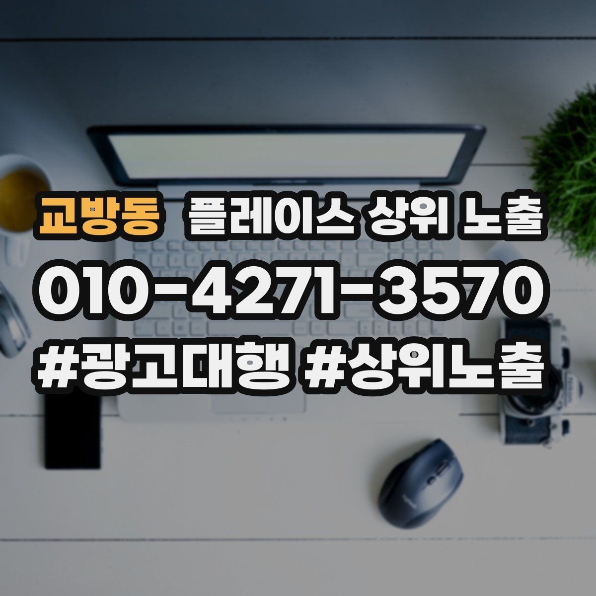 교방동 플레이스 상위 노출 반경 타겟을 잡는 현실적인 방법