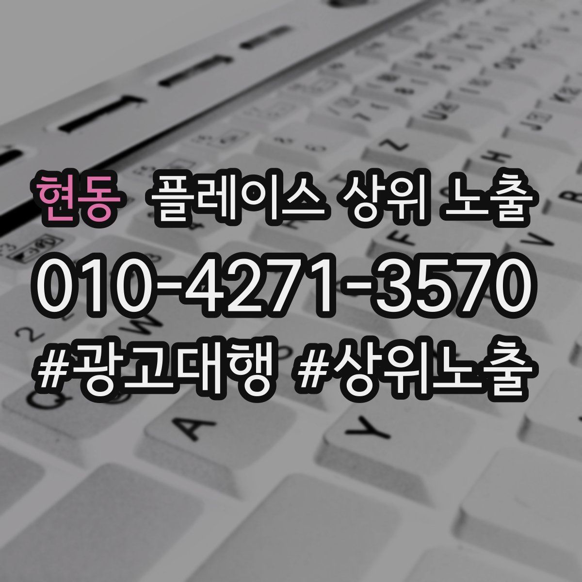 현동 플레이스 상위 노출