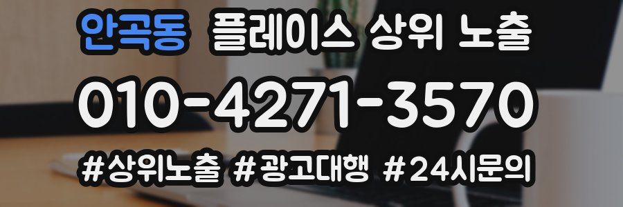 안곡동 플레이스 상위 노출