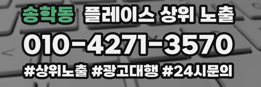 송학동 플레이스 상위 노출