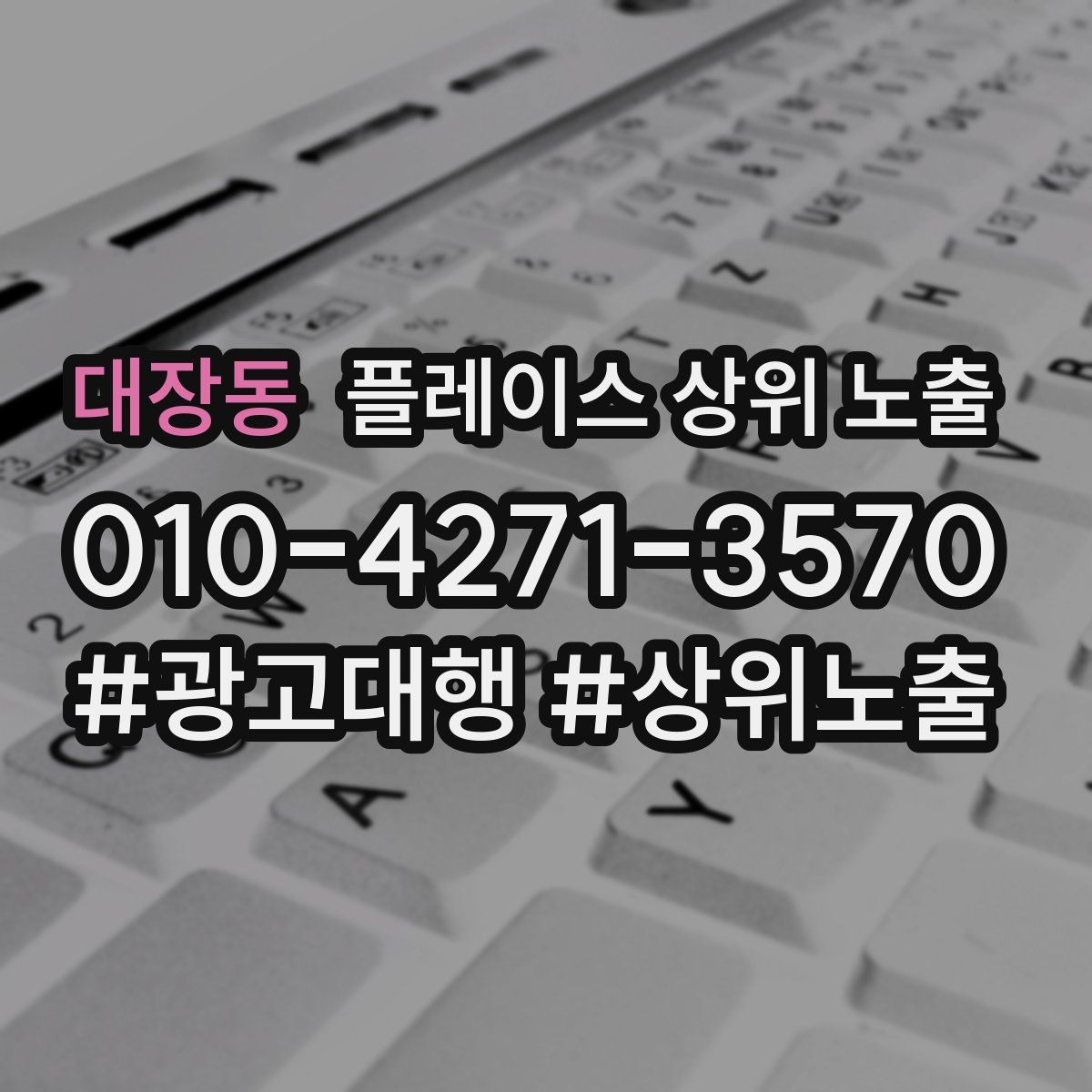 대장동 플레이스 상위 노출