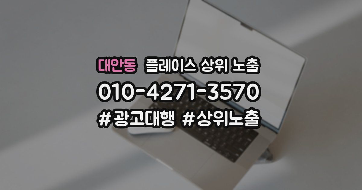 대안동 플레이스 상위 노출